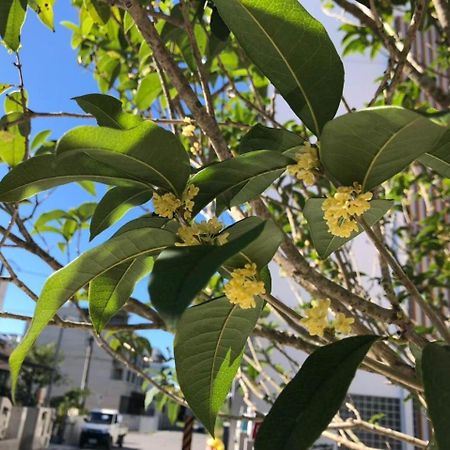 Peach Blossom B&B T'ai-tung Eksteriør bilde